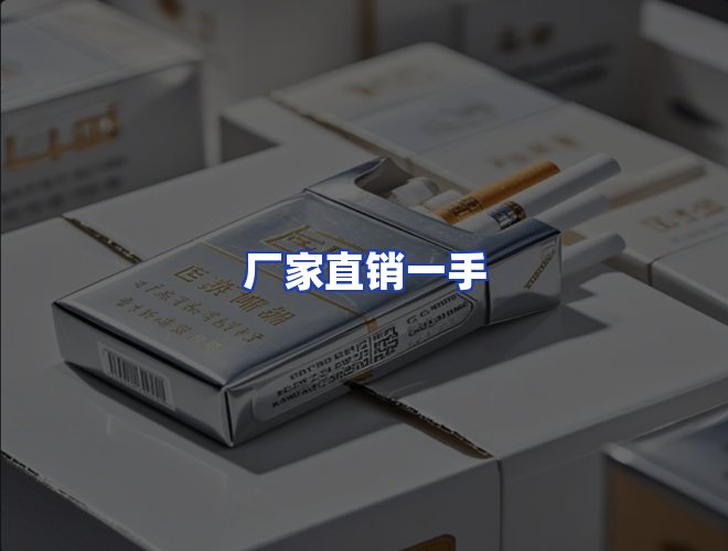 专业团队